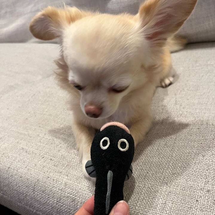 940de161 2535 4eb3 9b6d a0592fc4f990 1727099892044