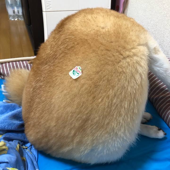 940de3e9 6fde 4867 8235 d5417327988b 1594715379460