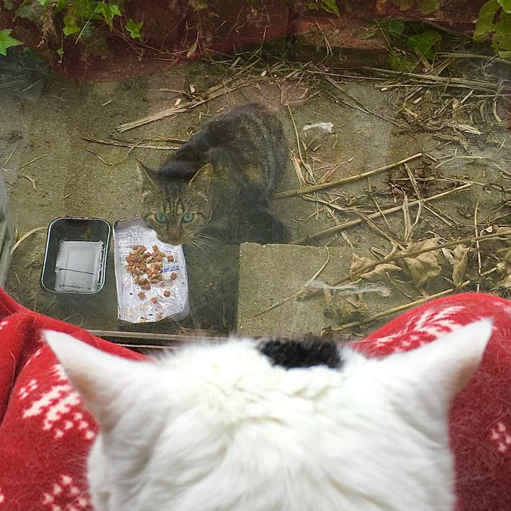 940e02b6 2ff6 4c83 aaa4 cbd243c73f8a 1603229782186