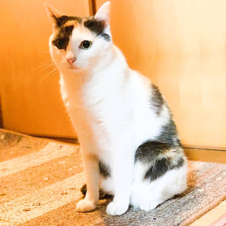 940e093c 18a2 4bf9 b4ef 31cb20188e4e 1567303169803