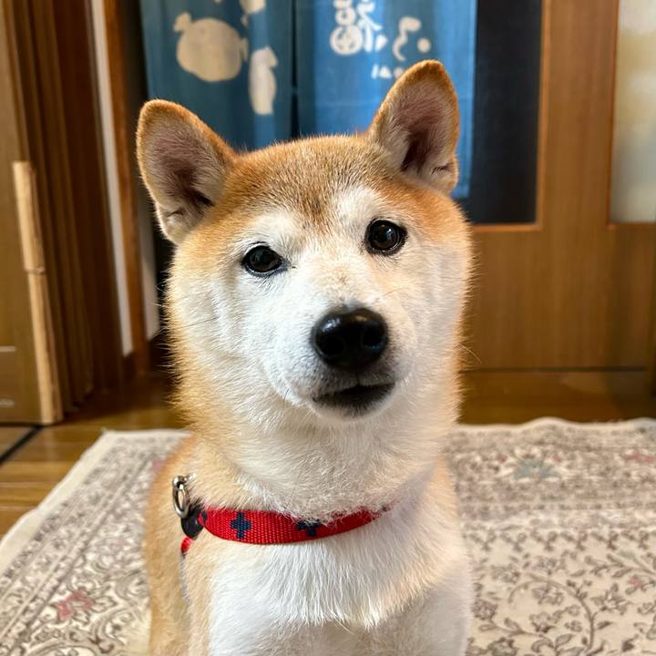 940e21e2 98dc 4b25 8e28 ef7f21bc2848 1699261578272