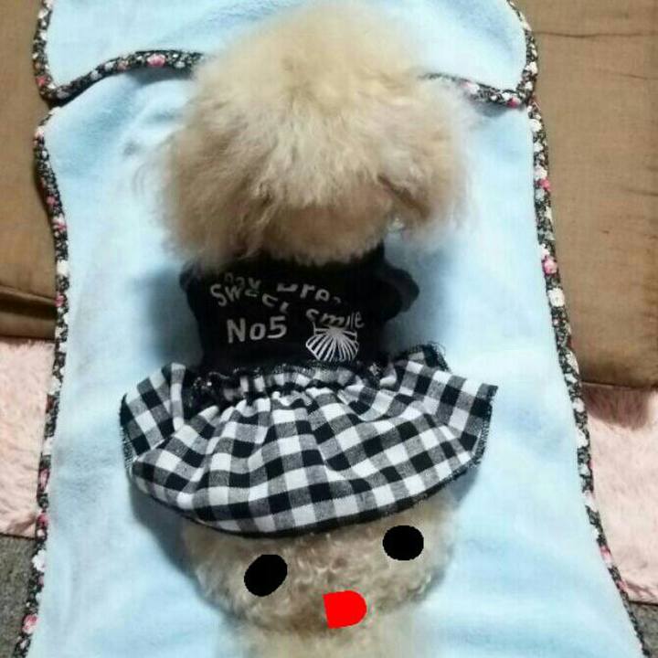 940e63f2 30ad 43a3 a17f ab9a05afb997 1540637289876