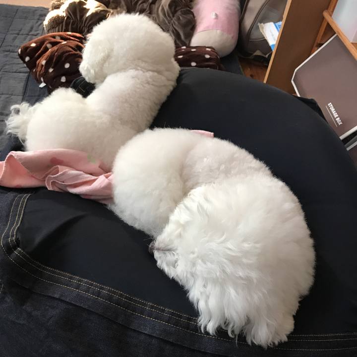 940e792f 6f32 41ab 8cc1 dd1cef1c4067 1573451763451