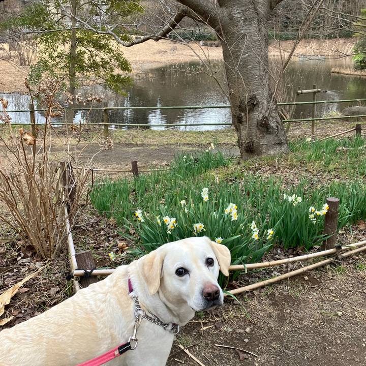 940e7c22 bec0 410d b7aa 853bc8c06647 1676241901071