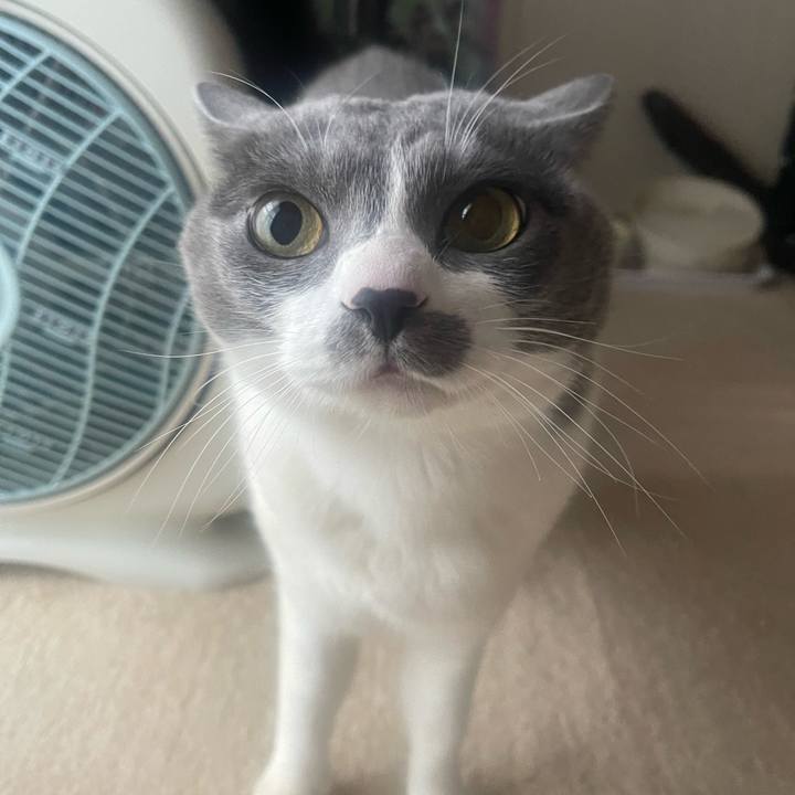 940ed131 3d98 40dc a7a7 1428847c3bae 1707097817869