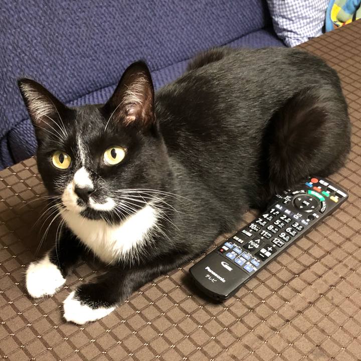 940f0314 b403 4ebb bb18 86be0cc99410 1632453976943