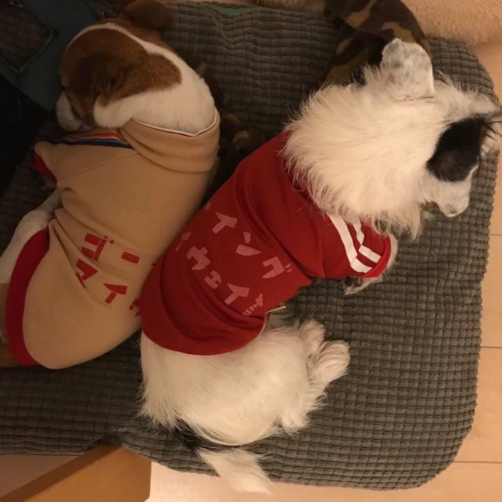 940f2468 d00c 442a 8bf1 a0e835f6fac2 1540127343896