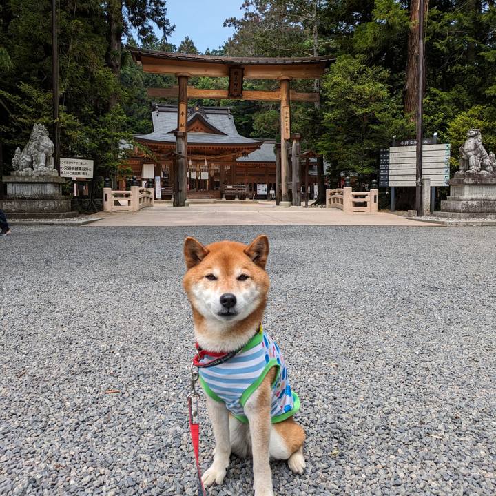 940f4f92 2482 44fb ba31 ab6b0a6da29c 1716761085268