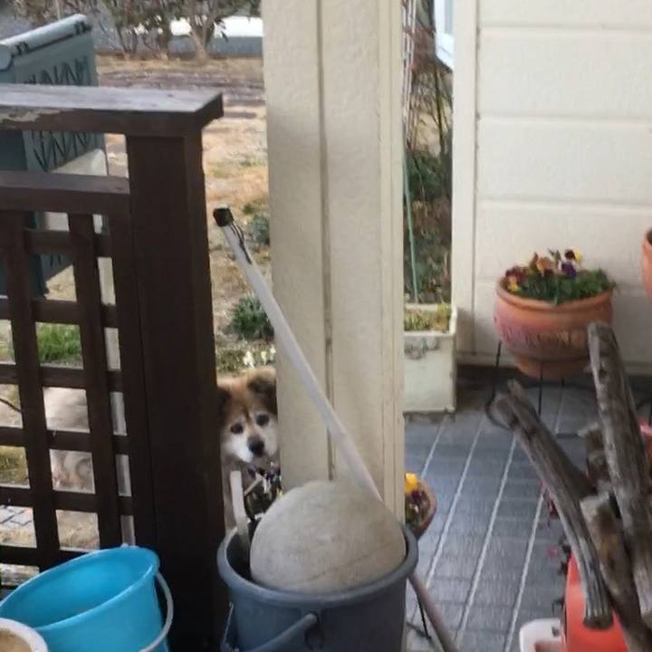 940f5960 ab59 4196 acd5 4489b9b947d6 1580865581627