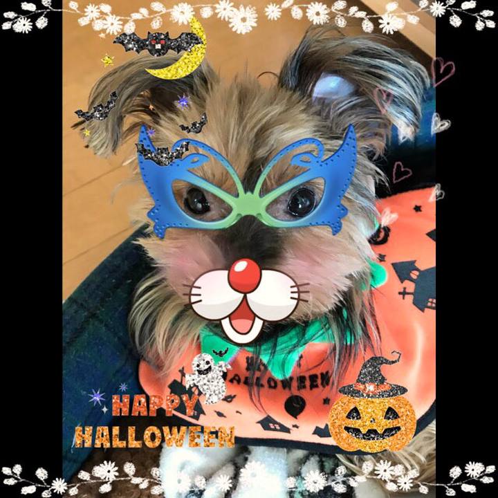 940f5d70 f063 482d 9ef7 920a3ce3163b 1509403497779