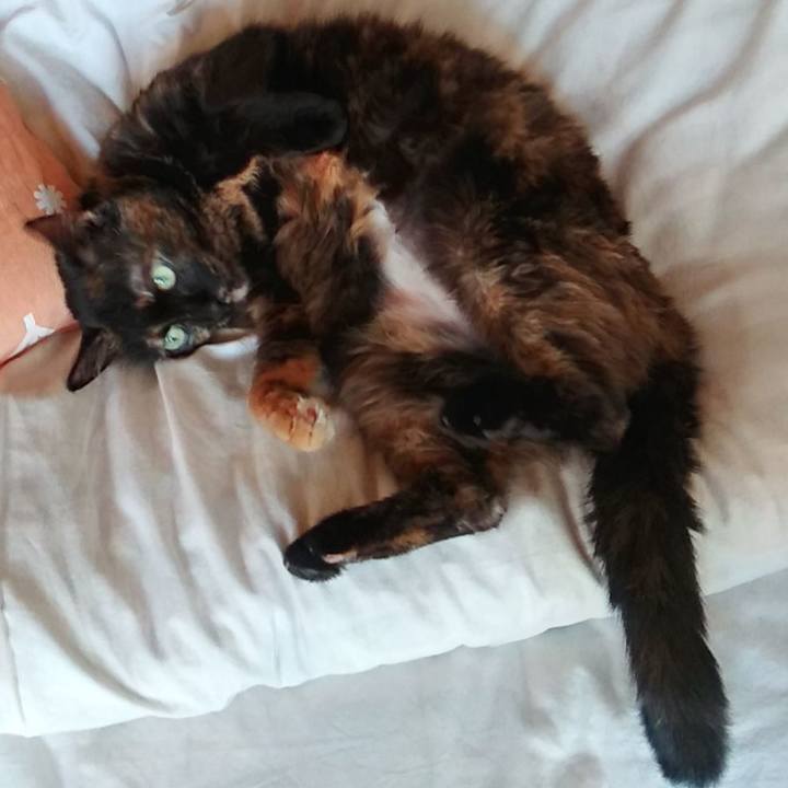 940f6afd b046 4b3e b539 aa75edb3de6c 1622117161036