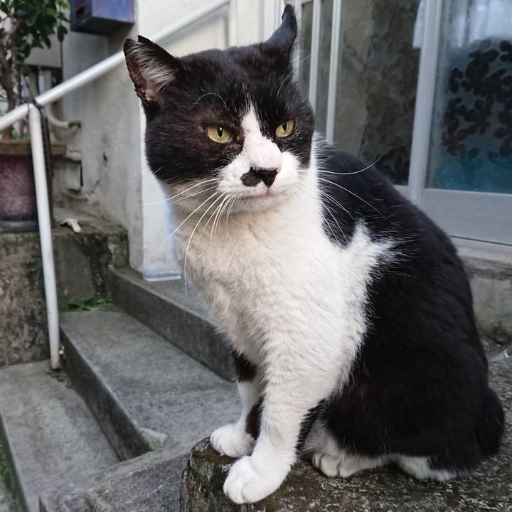 940fa1af 9ca2 4563 9ab7 a66fd8f48783 1557134876682