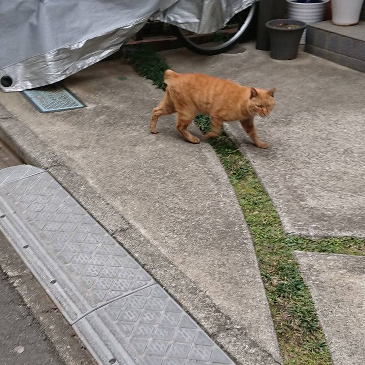 940fb40b a7d9 4d4f a2b6 da8439686062 1550531659708