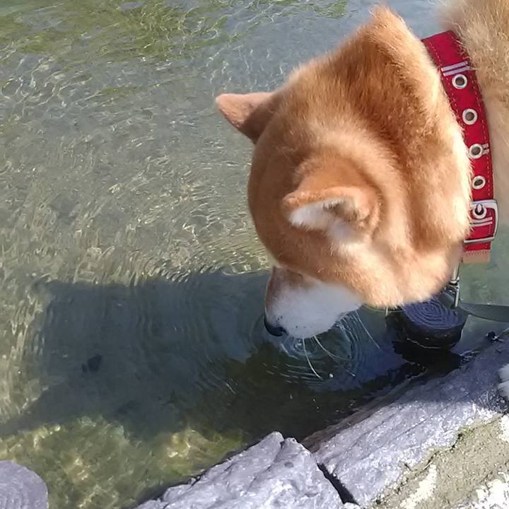 940feef8 eacf 4fe8 b964 6660604d5e14 1590108651395