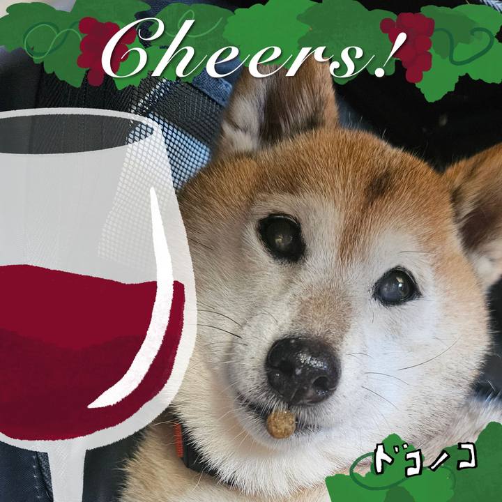 940ff3cb 14e2 445d b5d0 47f6937bb7c4 1763627409177