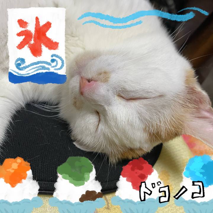 941018cd 36e4 4f57 b2ec 42c95dc51fbf 1723199375804