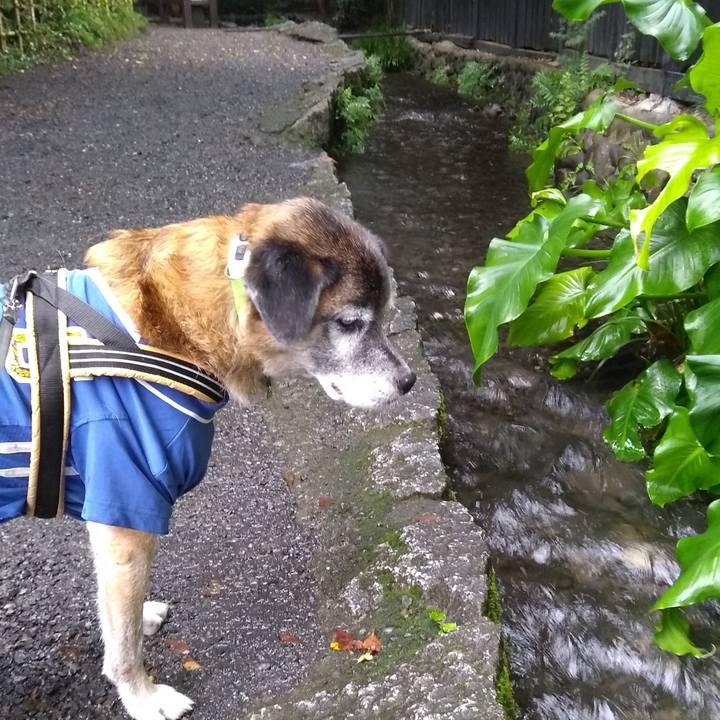 94106894 9833 42b8 b3bd aaec8e3fd264 1571358763127