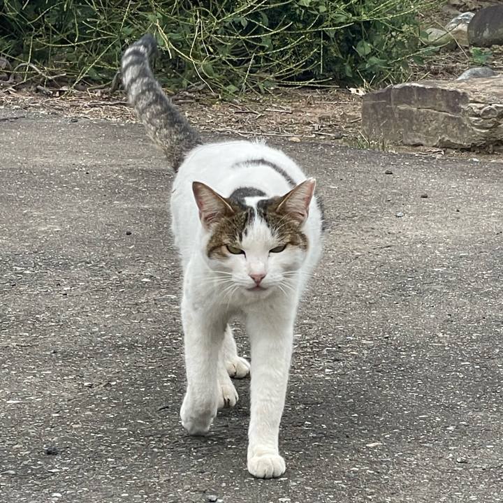 9410de73 a8a1 4361 a07f d334d41d44c7 1729761792538