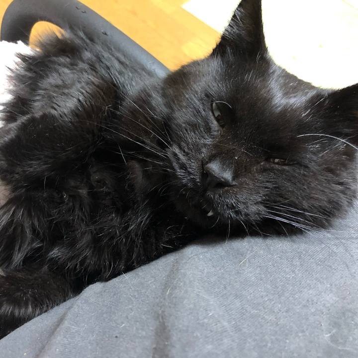 94119ed9 2c27 472b 9439 0589aec006ba 1640438303978