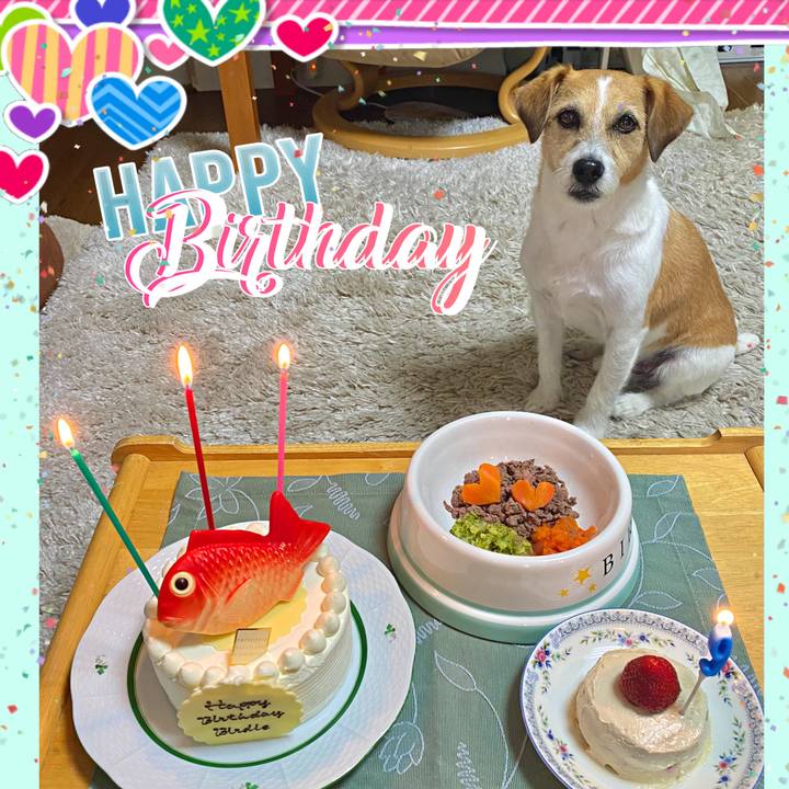 9411b388 5187 424c b9fa 0925684053bb 1713611921220