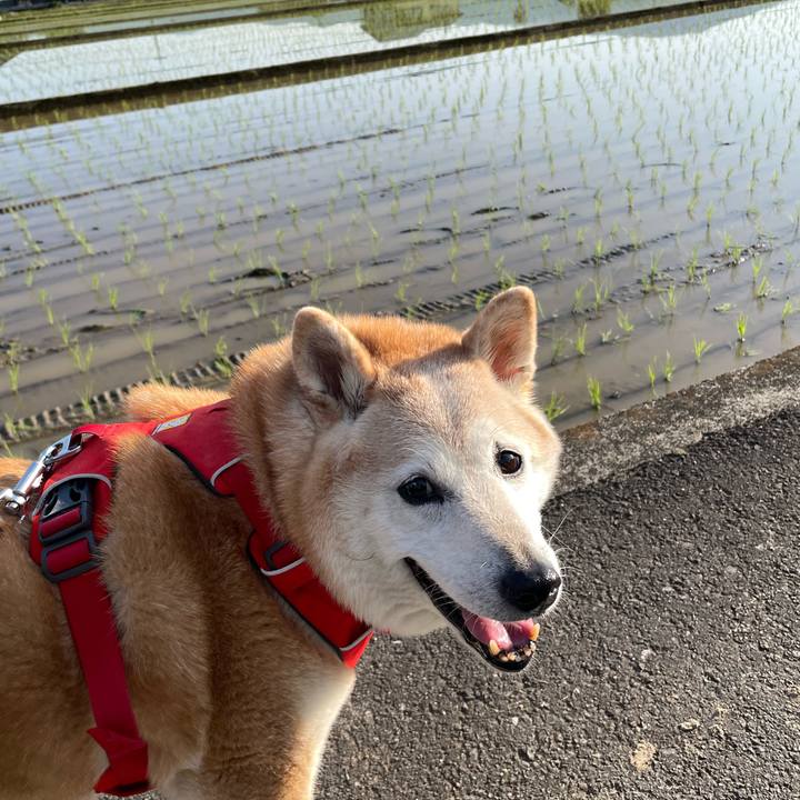 9411c482 5f81 4f9d a2c7 a79da26d5c70 1684228930034