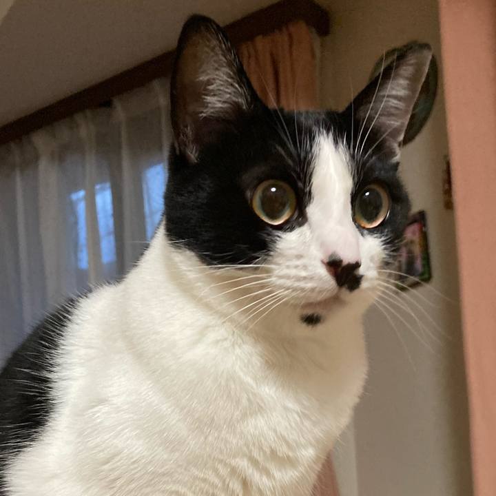 9411dbf4 2668 451c b156 ccee25a2d749 1605001141602