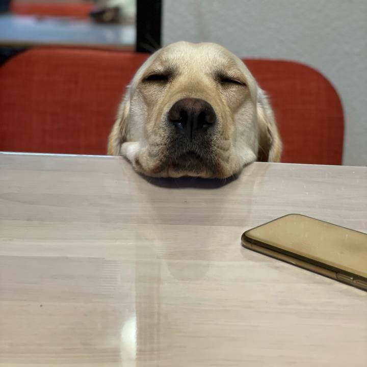 9411ecf4 3d8b 4f76 927b fd937e5d7f0b 1651059138122