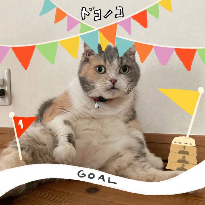 9411f113 1c2a 4d0a 8587 1530a1cb3f85 1729240329700