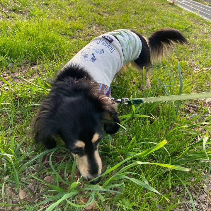 94123c27 1e26 4b31 bc53 5b8d57139d5c 1713191008788