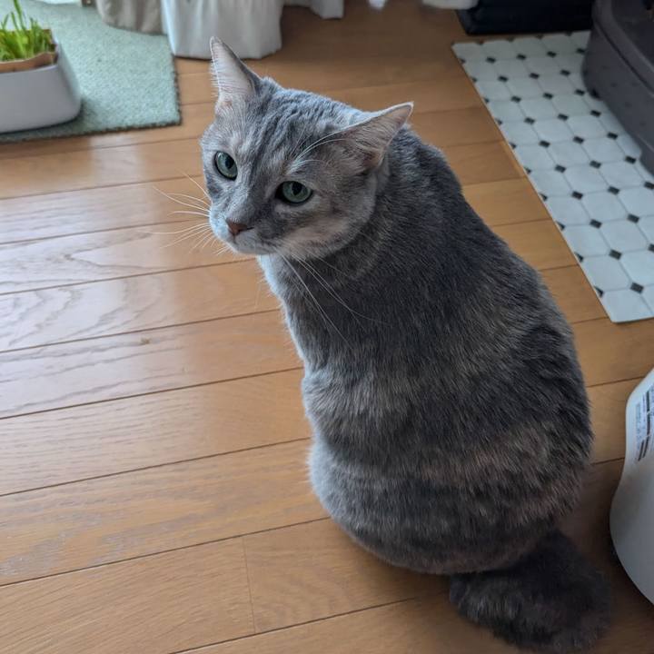 941244dc b63d 4e0f b004 3453f99ca41e 1721824827947