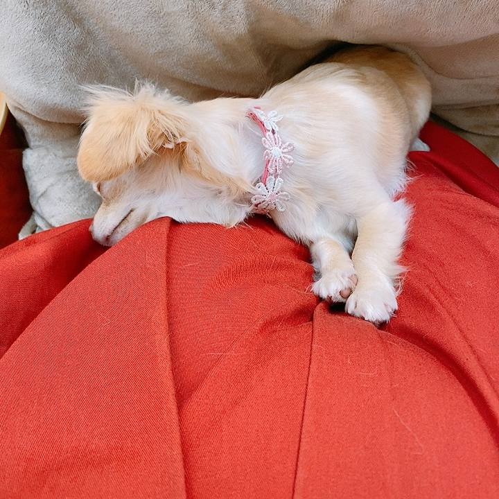 9412523a 1ddc 4c67 9b08 cd651808cf64 1617141471755