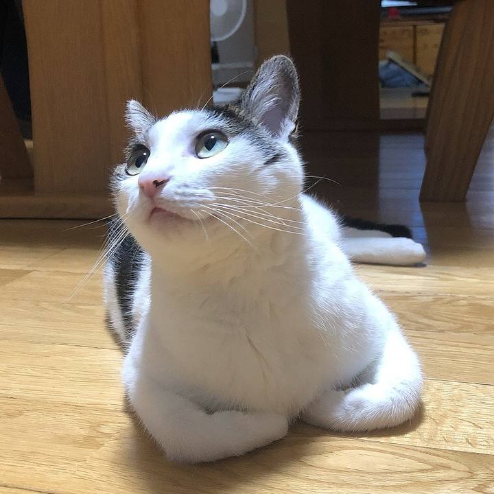 94126888 1f77 447c af5d c19e31306124 1661431035535