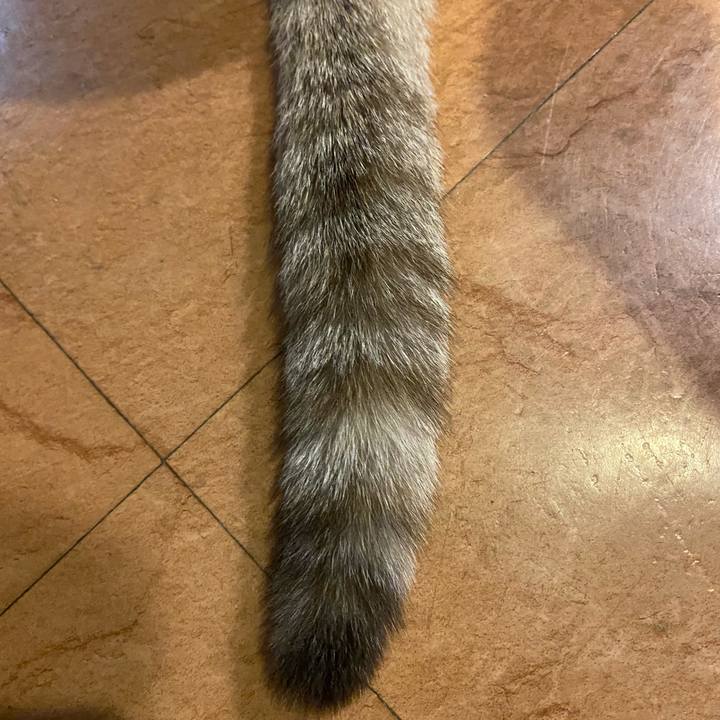 94128b15 f36e 41e5 9303 1544b266f62e 1637228653532