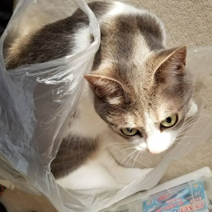 9412987d 5b4a 4b68 9e52 e70f73305c91 1520384529423