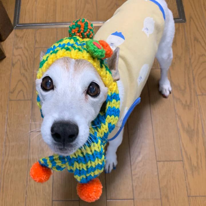 94129d62 8218 4302 9632 f242e2b28d3d 1577400156831