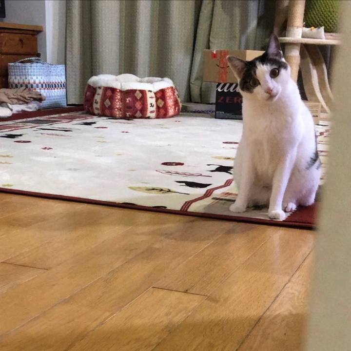 9412c8f2 0ecf 4dc7 834c ae138b1f3074 1703770915069