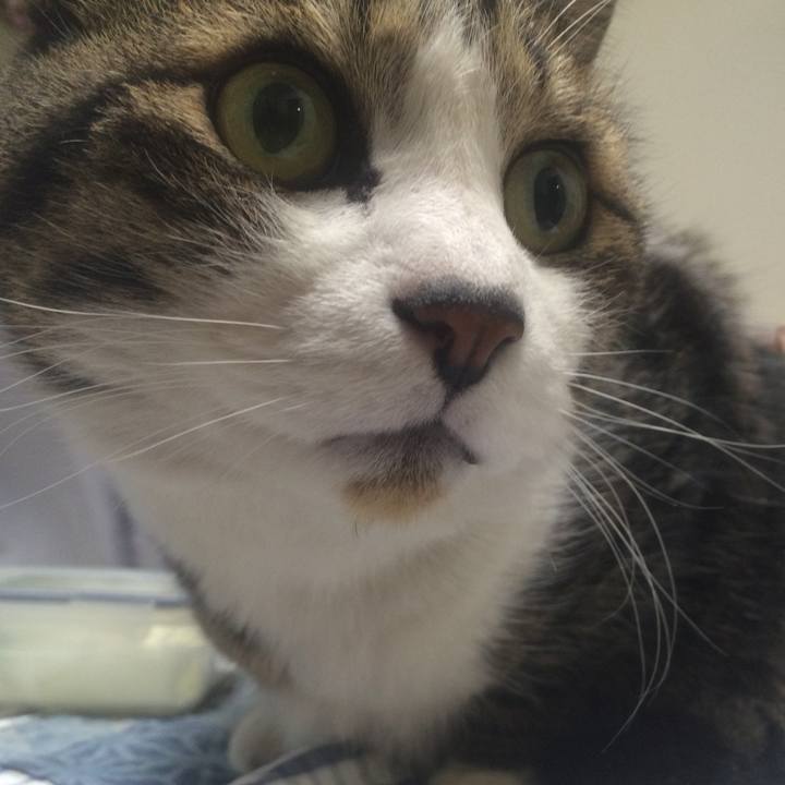 9412db22 7b09 4a6d af13 c706cea64588 1515080558200