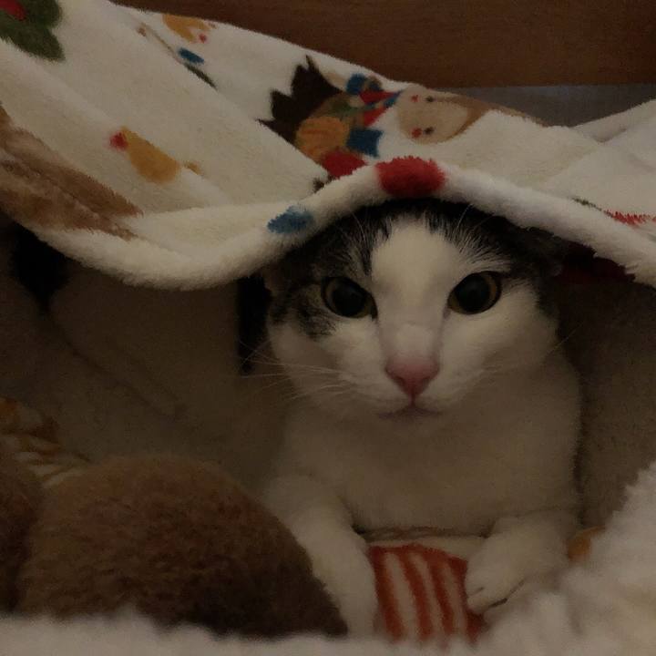 9412e73b 4151 4de9 aaba a8215cdc579f 1643234794855