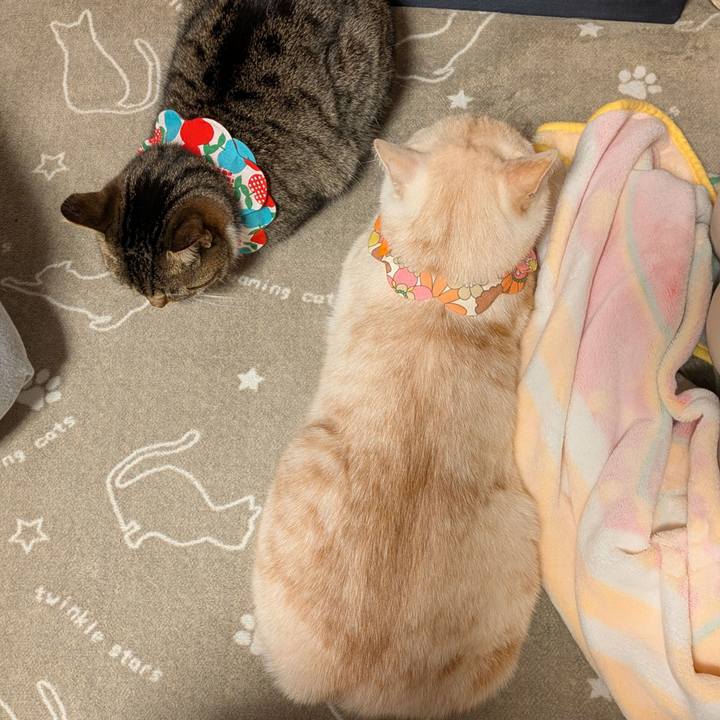 9412ee35 e523 468b b9d1 239e33aa7f8b 1735719030475