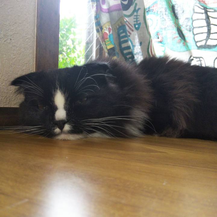 9412f23b b86b 40a9 8542 b7de05037c94 1653089577395