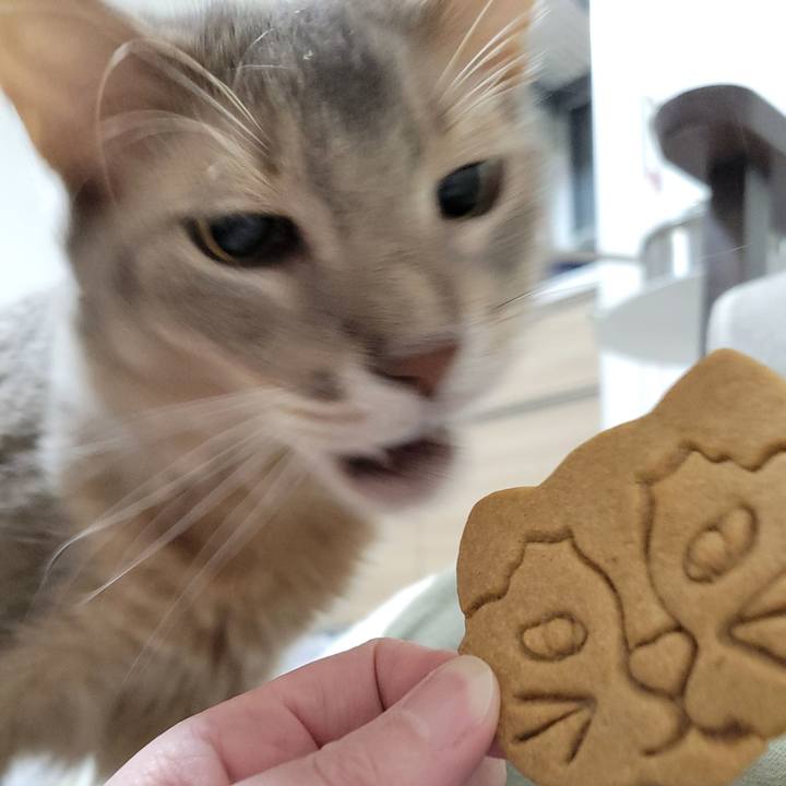 9413001e c94f 4799 bcce 34058724781f 1676978696496