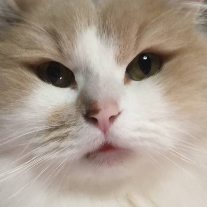 9413014d 93af 44b0 a989 35bd0601450e 1552565122684