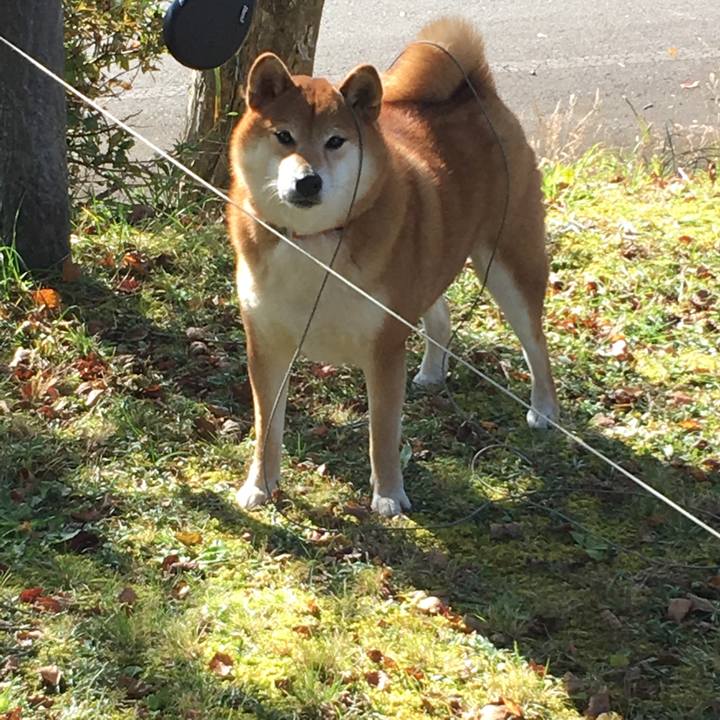 9413521c c1ed 4392 a5d7 4c8f0cc99415 1573395039423