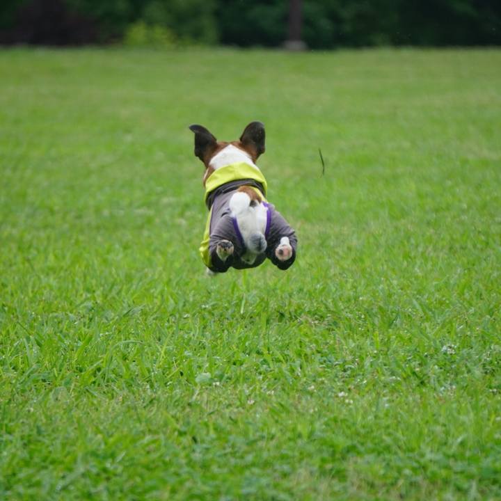 94137c61 67e9 4d03 b124 6c0c36b5e799 1560206981016