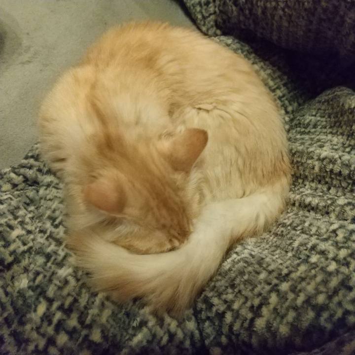 94137d65 b3b5 43fb be59 d38010481bce 1612791732582