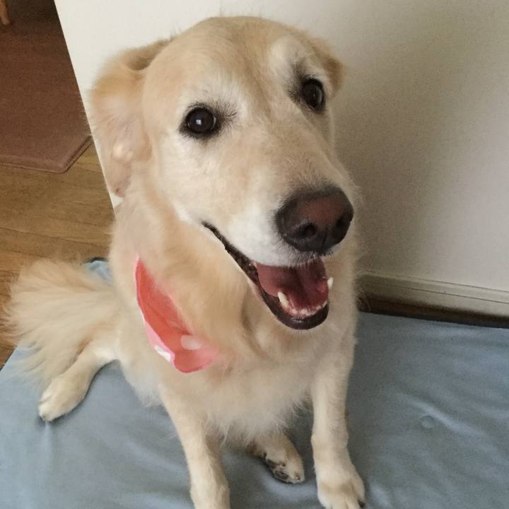 9413c8b4 f504 4bfe a7e0 564f22f6e059 1536827079407