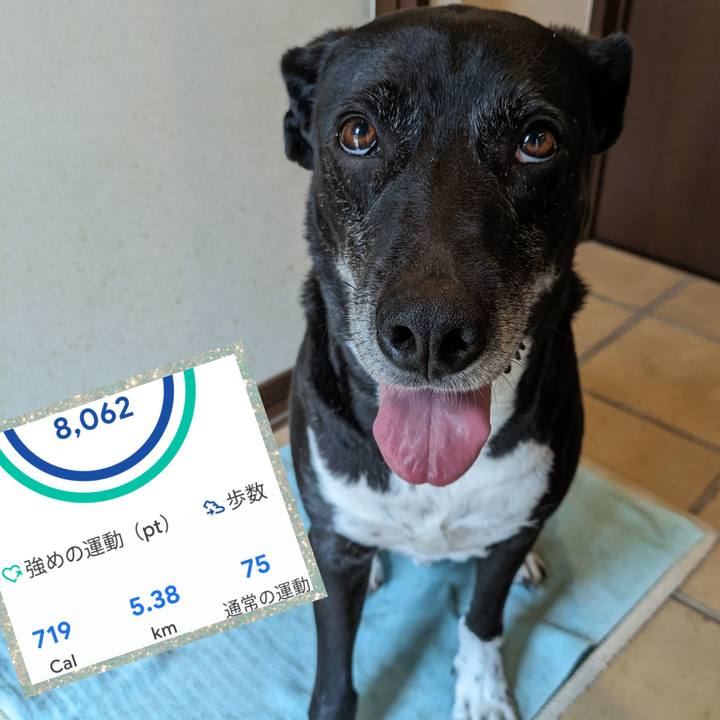 9413fec6 2009 44a7 bf1b 589ee4d82e37 1717724115535