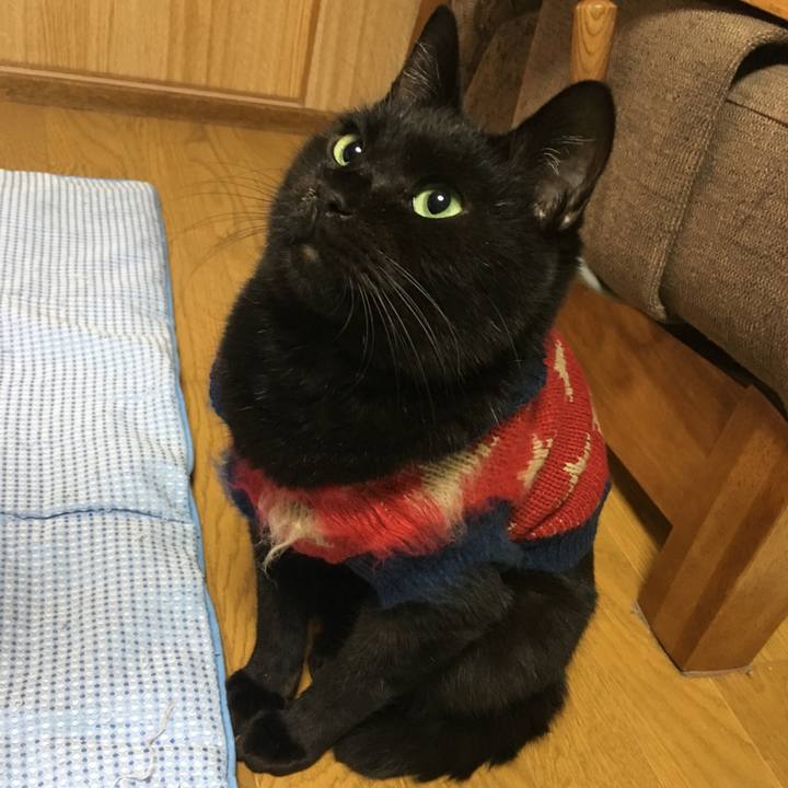 94140c37 d8e3 4482 83ea fcc7f366f5e4 1539869957247