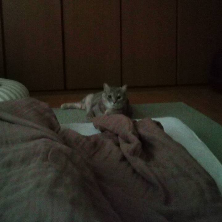 94140df6 a238 4a64 a7a4 f11ebf8ffaac 1630208194451