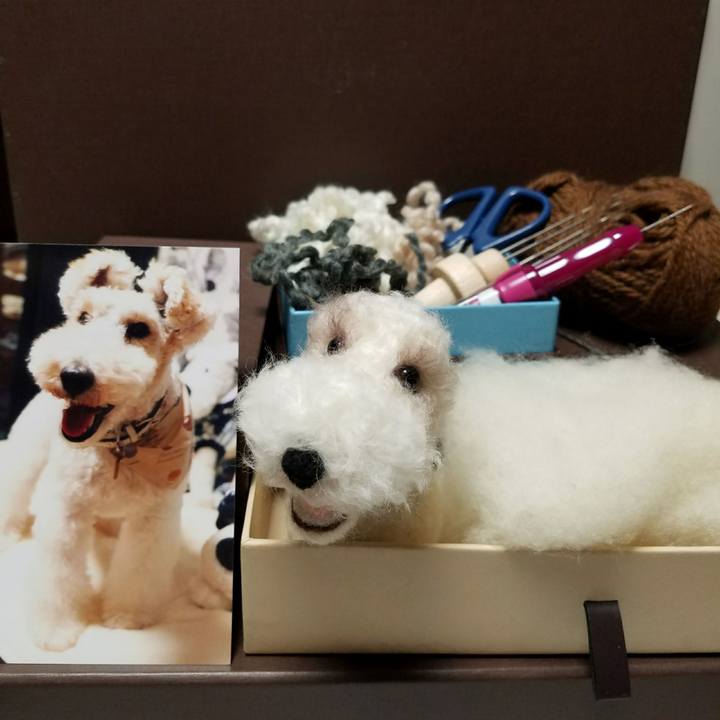 9414568e a6c5 4453 bb2b 3e5c3d761913 1507815460843